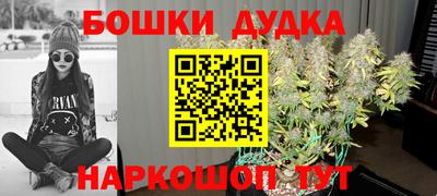 амф Обь