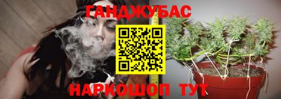 амф Обь