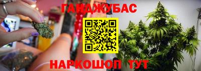 амф Обь