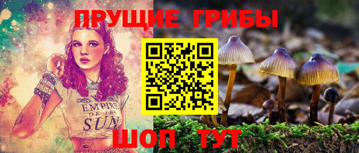 Галлюциногенные грибы прущие грибы Славгород