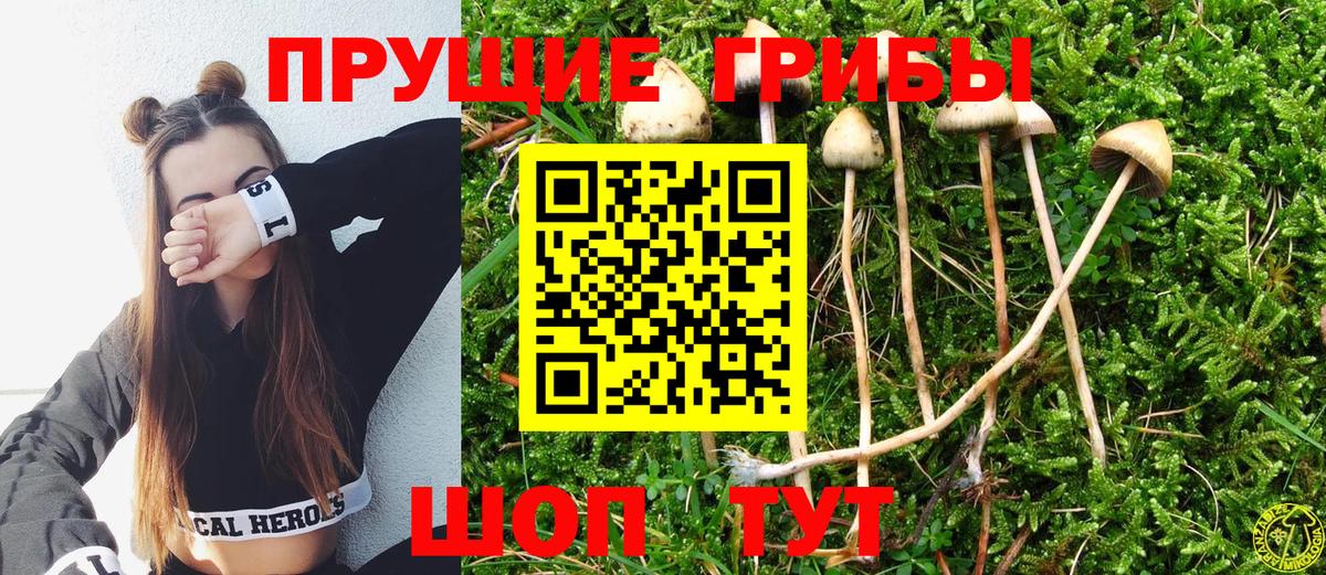 Славгород  Псилоцибиновые грибы ЛСД  Галлюциногенные грибы MAGIC MUSHROOMS  Вход с VPN 